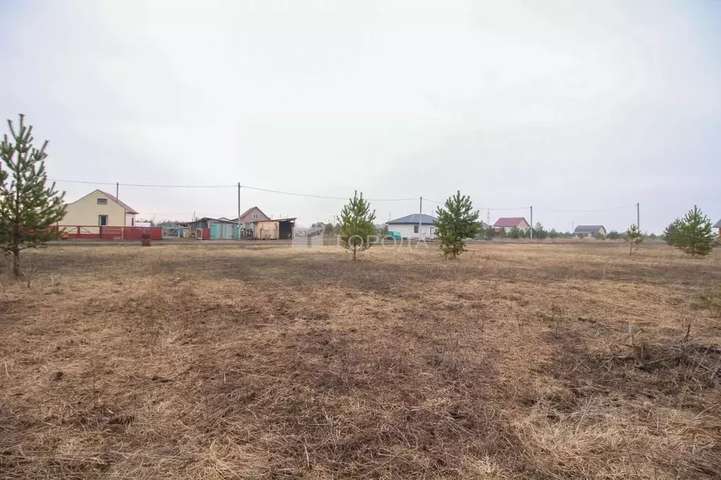 Участок в Алтайский край, Первомайский район, пос. Новый ул. 2-я ... - Фото 1