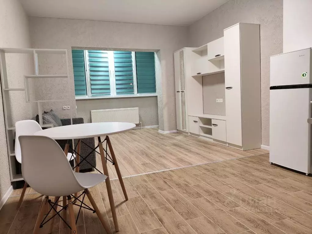 Студия Московская область, Чехов Русская ул., 30А (30.0 м) - Фото 1