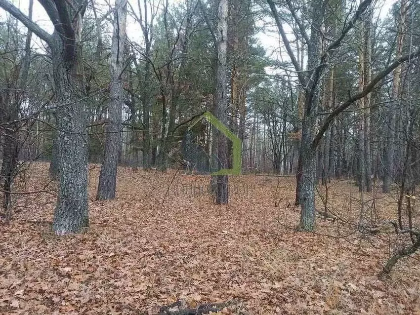 Участок в Самарская область, Сызранский район, с. Рамено Советская ... - Фото 1