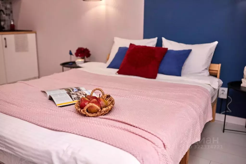 1-к кв. Псковская область, Псковский район, Писковичская волость, д. ... - Фото 1