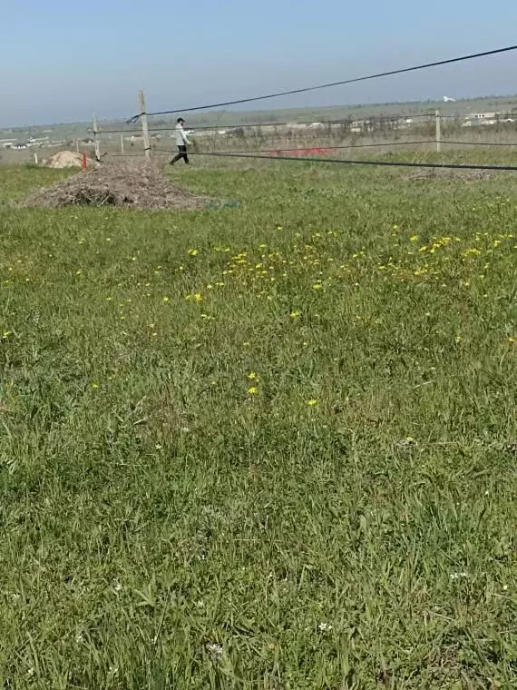 Участок в Крым, Симферопольский район, с. Мирное ул. Крымского Беркута ... - Фото 1