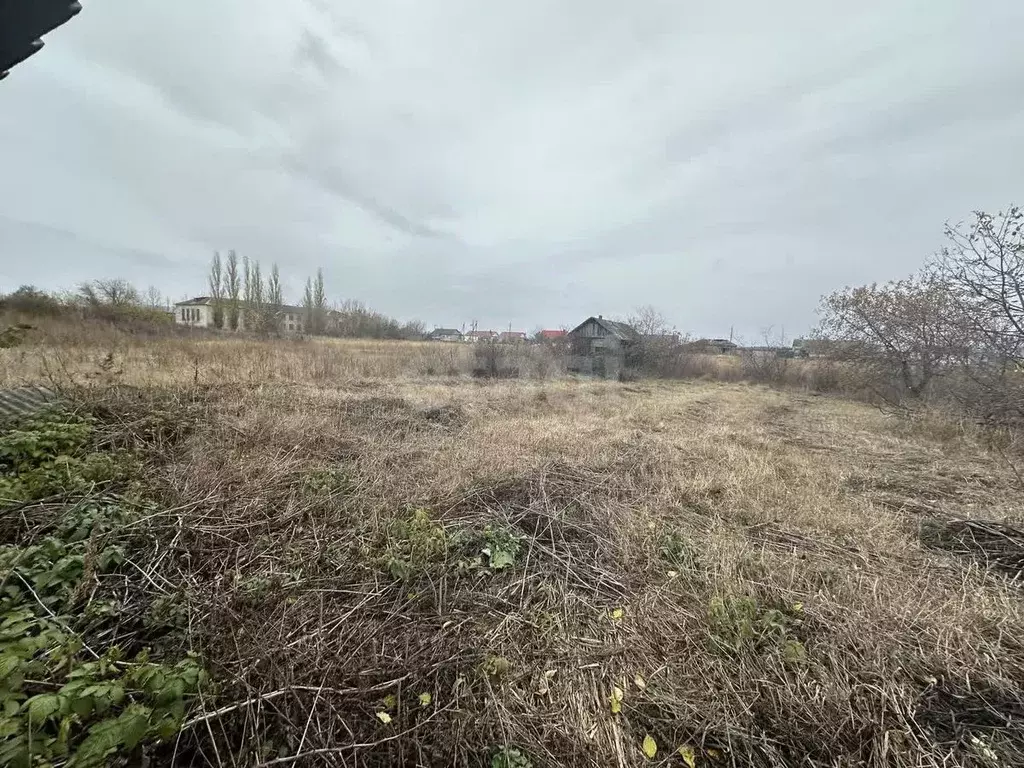 Участок в Воронежская область, Борисоглебский городской округ, с. ... - Фото 2