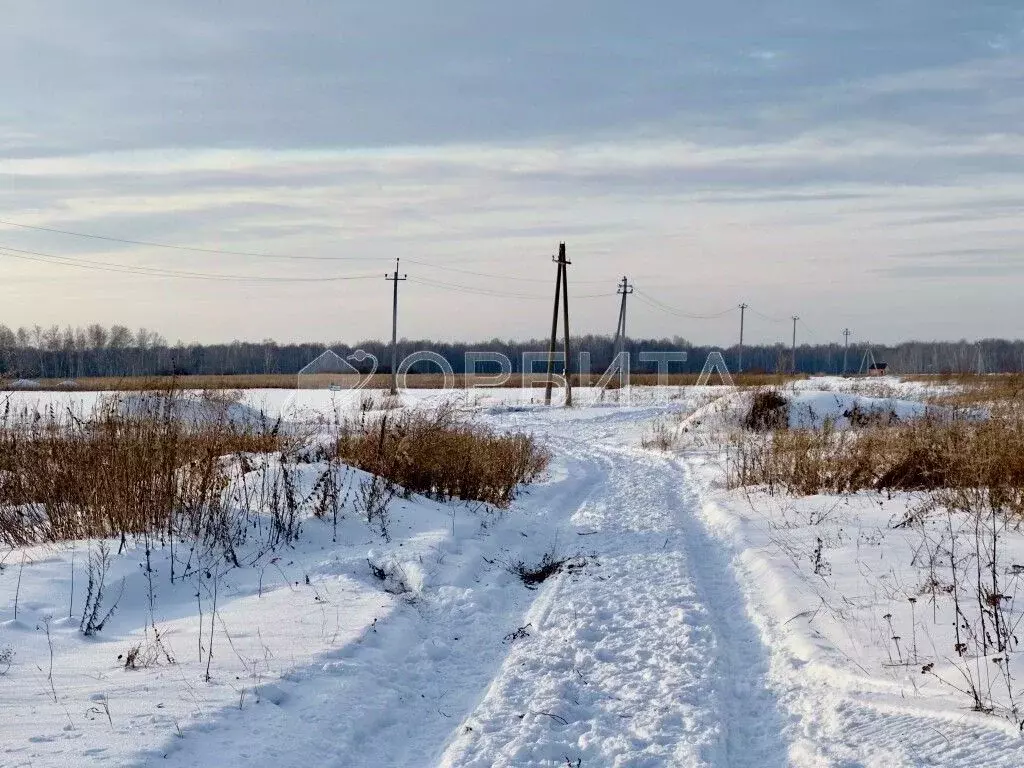 Участок в Тюменская область, Тюменский район, с. Горьковка Сибирская ... - Фото 1