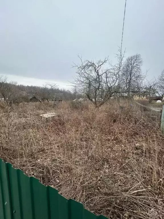 Участок в Московская область, Зарайск муниципальный округ, д. Ерново ... - Фото 2
