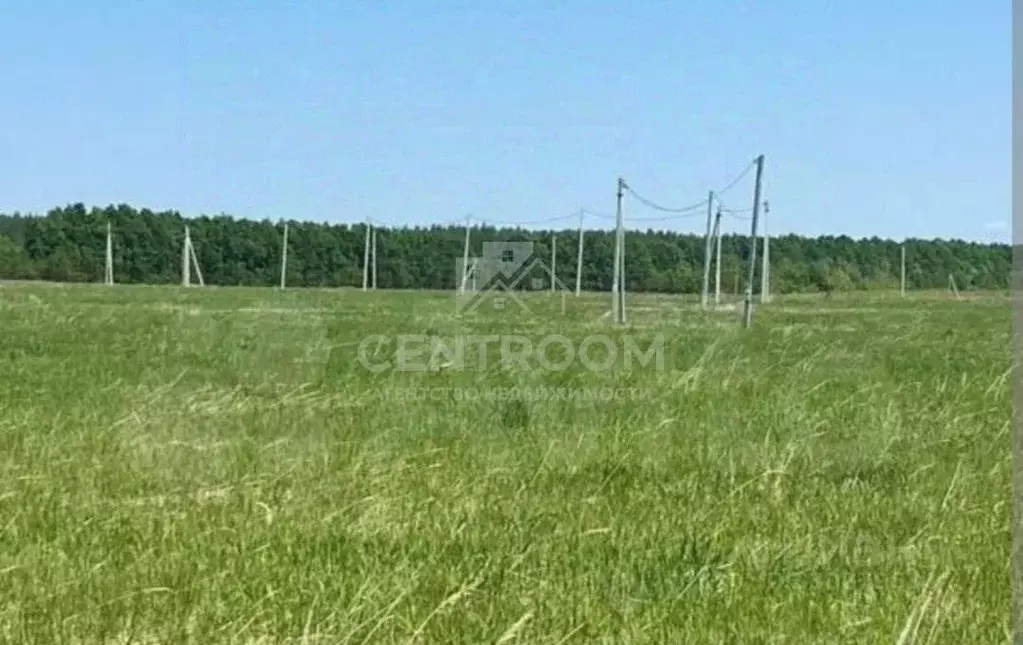 Участок в Татарстан, Лаишевский район, Чирповское с/пос, Богородский ... - Фото 1