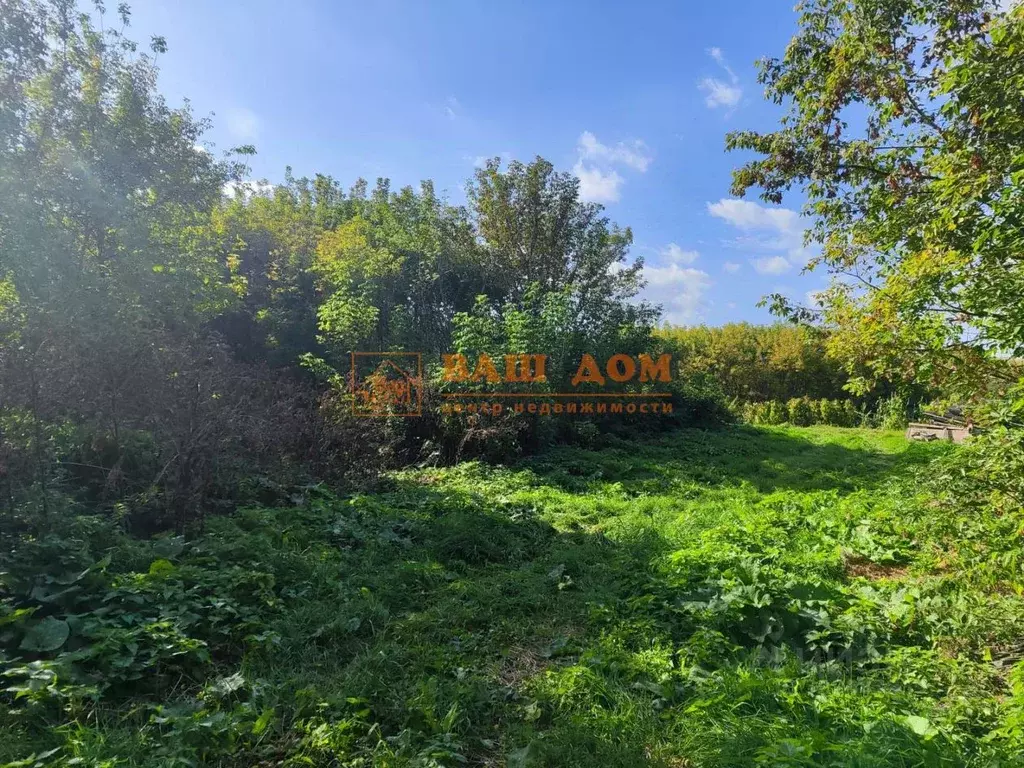 Участок в Тульская область, Кимовский район, Новольвовское с/пос, с. ... - Фото 1