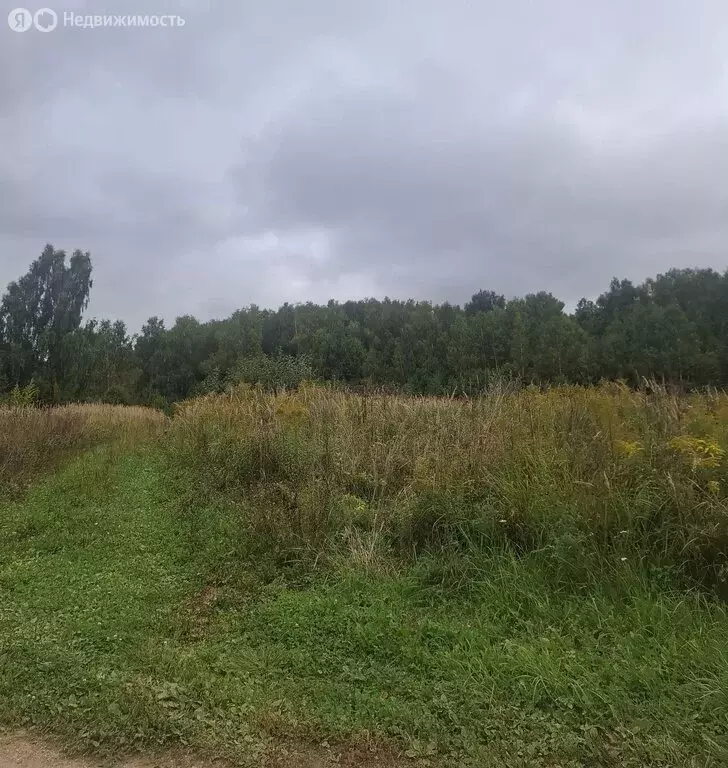 Участок в Московская область, городской округ Мытищи, деревня ... - Фото 2