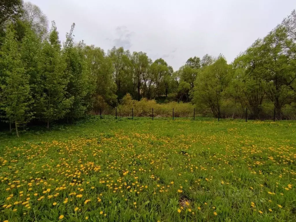Участок в Московская область, Чехов муниципальный округ, д. Голыгино  ... - Фото 1