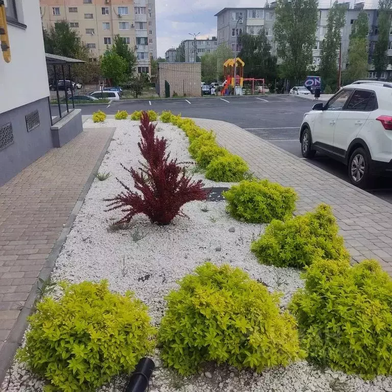 1-к кв. Волгоградская область, Камышин 5-й мкр, 45 (36.0 м) - Фото 0