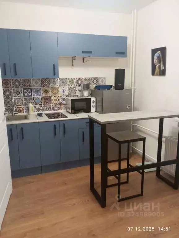 Студия Ленинградская область, Мурино Всеволожский район, просп. ... - Фото 1