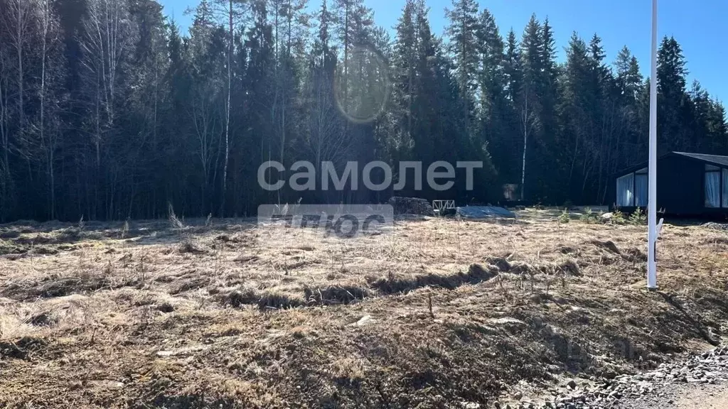 Участок в Ленинградская область, Приозерский район, Раздольевское ... - Фото 1