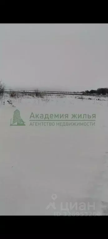 Участок в Саратовская область, Энгельсский район, Новопушкинское ... - Фото 1