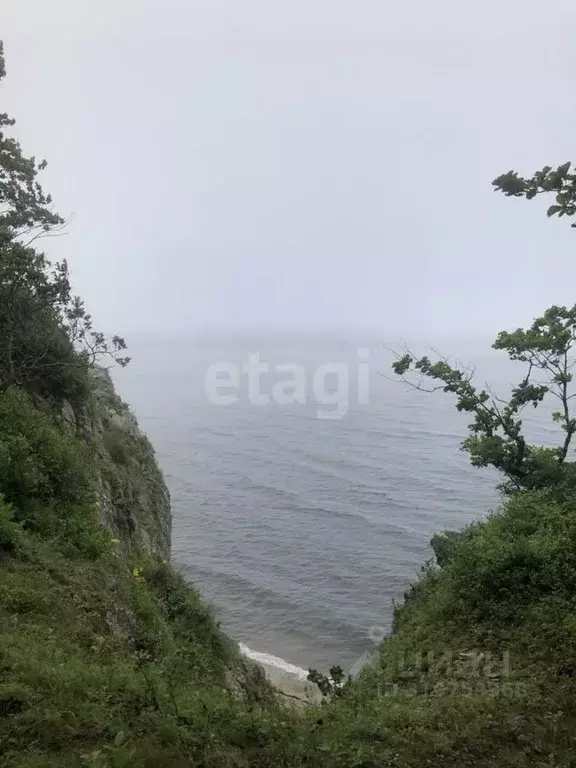 Участок в Приморский край, Ольгинский муниципальный округ, пос. ... - Фото 0