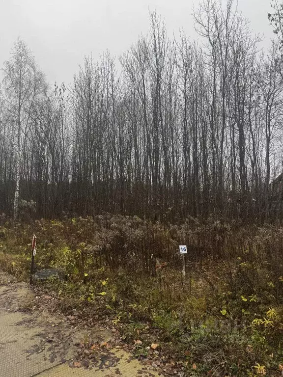 Участок, 6 сот., сельхоз (снт или днп) - Фото 2