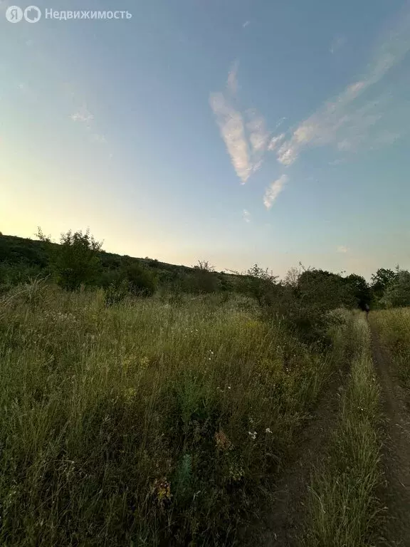 Участок в село Московское, Лесная улица, 20 (230 м) - Фото 1