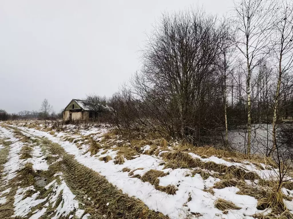 Участок в Смоленская область, Сафоновский муниципальный округ, д. ... - Фото 1