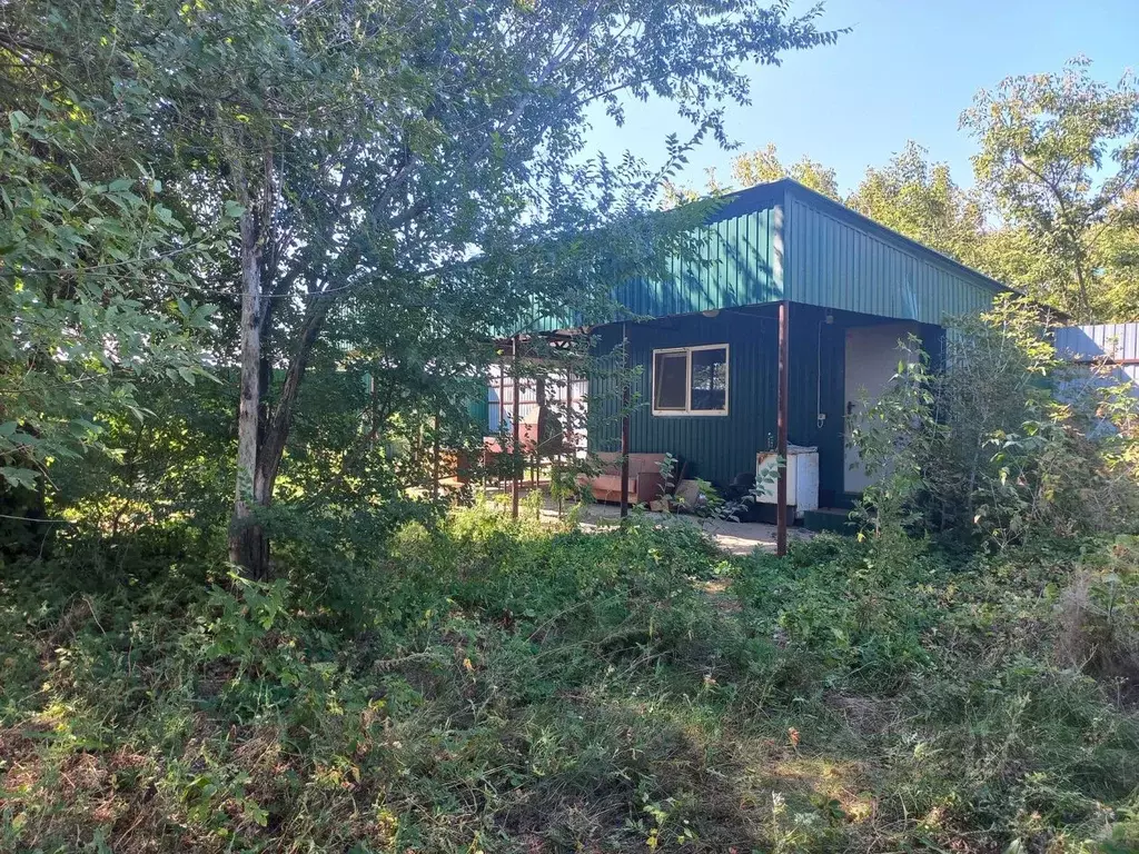 Участок в Саратовская область, Воскресенский район, Елшанское ... - Фото 1