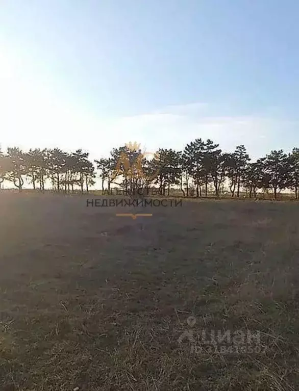 Участок в Крым, Кировский район, с. Абрикосовка ул. Сосновая (18.0 ... - Фото 1