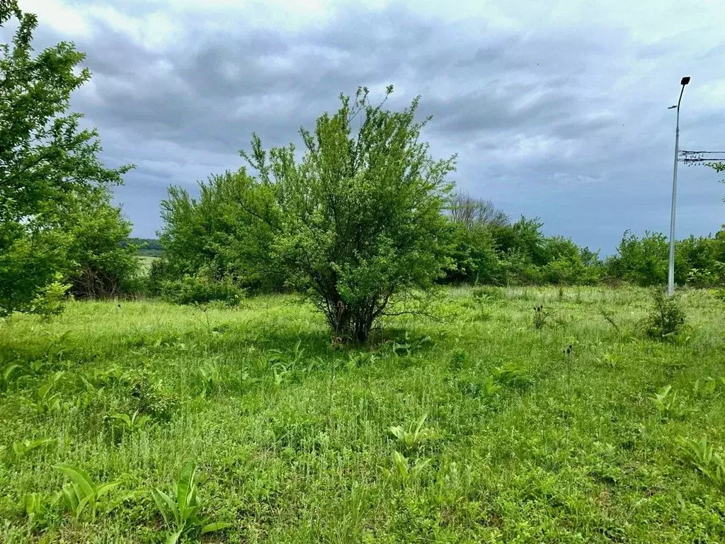 Участок в Адыгея, Майкоп пер. Смородиновый (7.79 сот.) - Фото 2