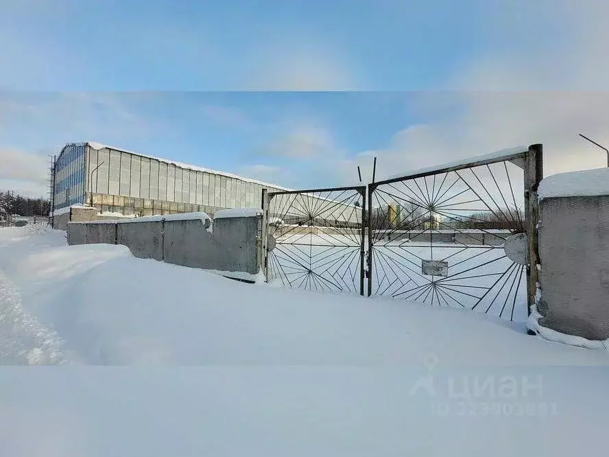 Склад в Ханты-Мансийский АО, Нягань Сергинская ул., 10 (1306 м) - Фото 2