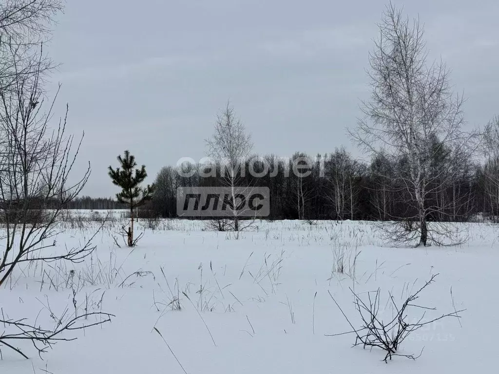 Участок в Челябинская область, с. Кунашак ул. Родниковая, 47 (12.0 ... - Фото 1