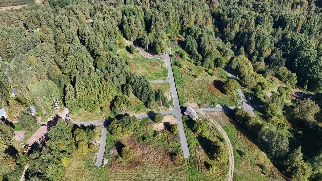 Участок в Ленинградская область, Тосненский район, Красный Бор ... - Фото 1