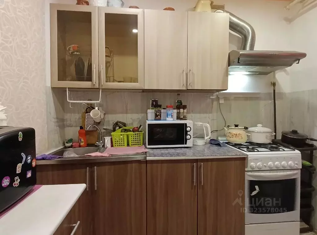 1-к кв. Ленинградская область, Гатчинский муниципальный округ, пос. ... - Фото 2