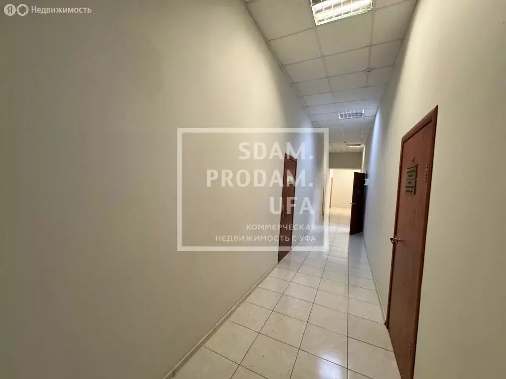 Офис (46.39 м) - Фото 1