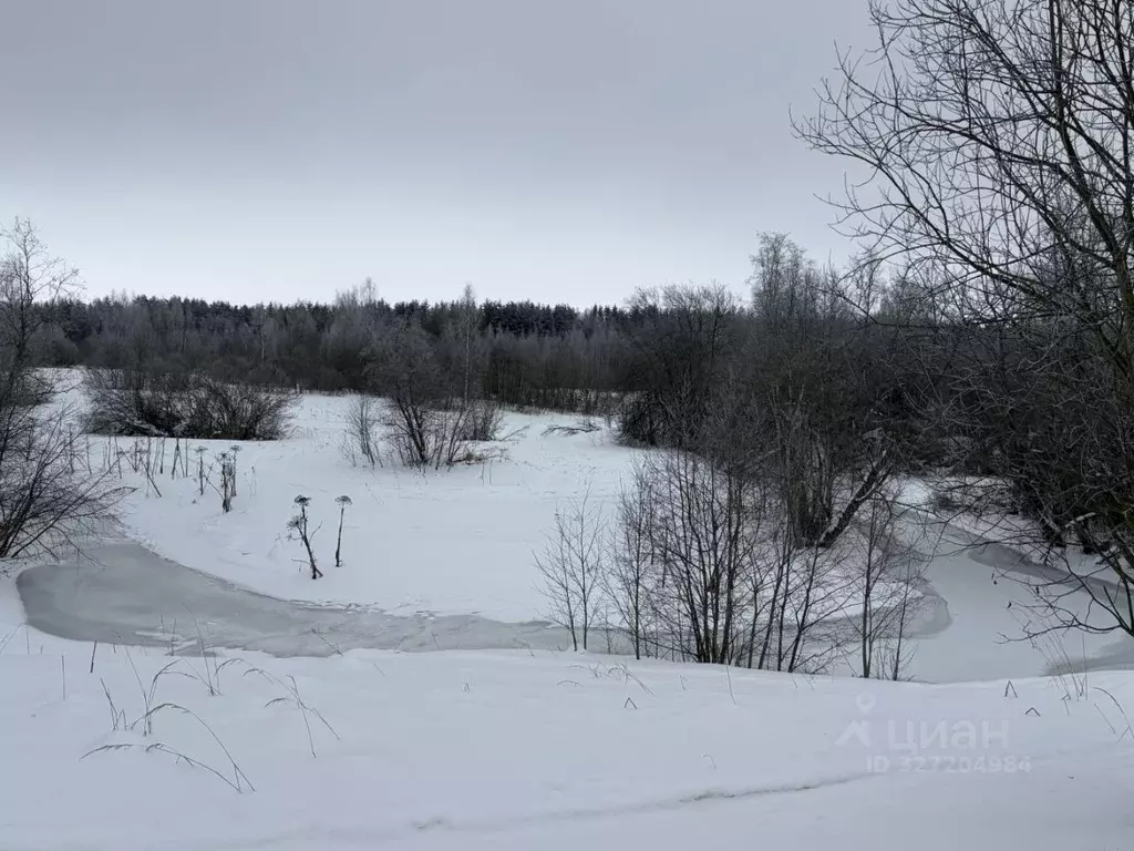 Участок в Ленинградская область, Ломоносовский район, Ропшинское ... - Фото 1