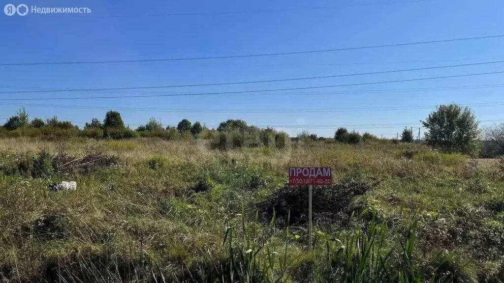 Участок в Ладога, Янтарная улица (12 м) - Фото 1