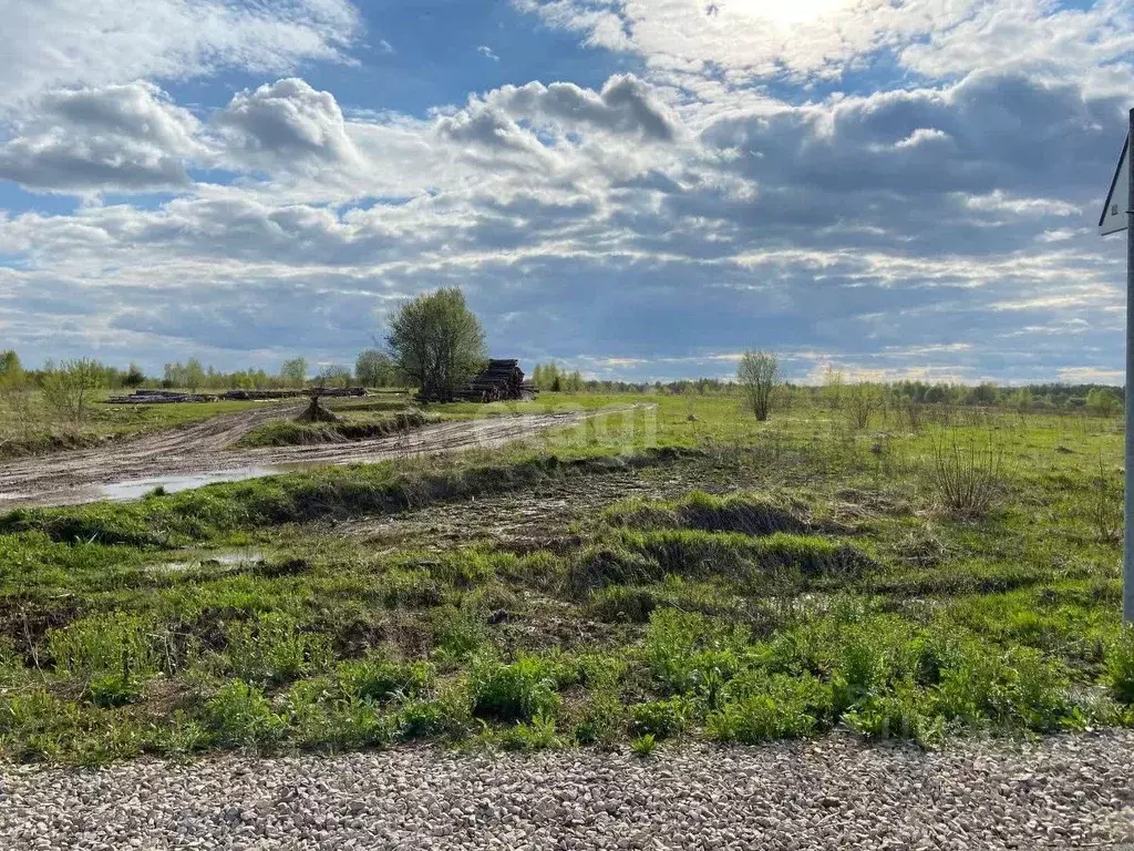 Участок в Калужская область, Медынский муниципальный округ, Глухово ... - Фото 1