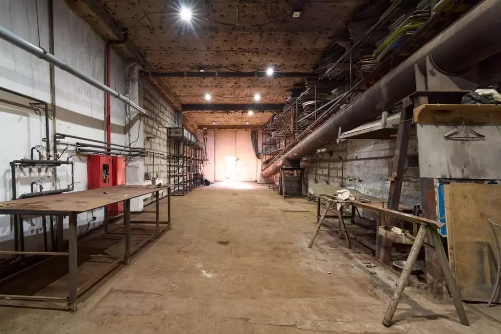 Помещение свободного назначения в Новосибирская область, Новосибирск ... - Фото 1