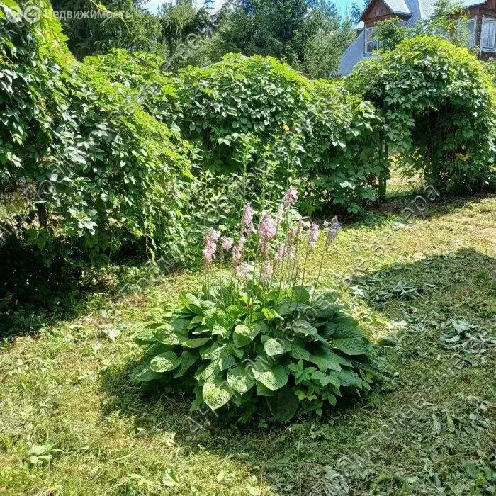 Дом в Московская область, Можайский муниципальный округ, садоводческое ... - Фото 0