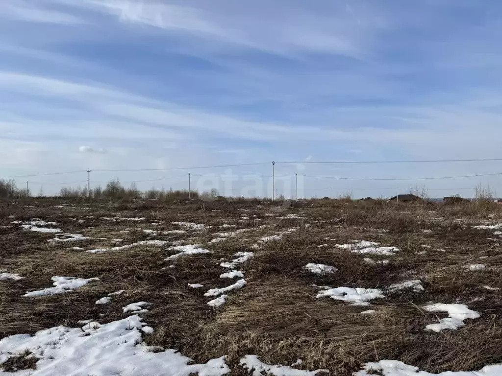 Участок в Брянская область, Брянский район, Отрадненское с/пос, с. ... - Фото 2