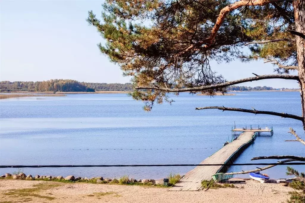 Дом в Псковская область, Гдов  (310 м) - Фото 2