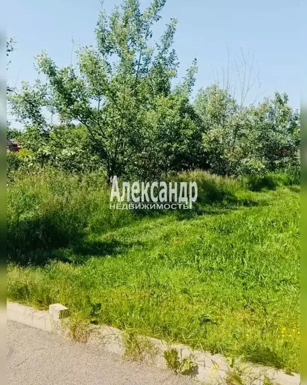 Участок в Ленинградская область, Коммунар г. Гатчинский муниципальный ... - Фото 2