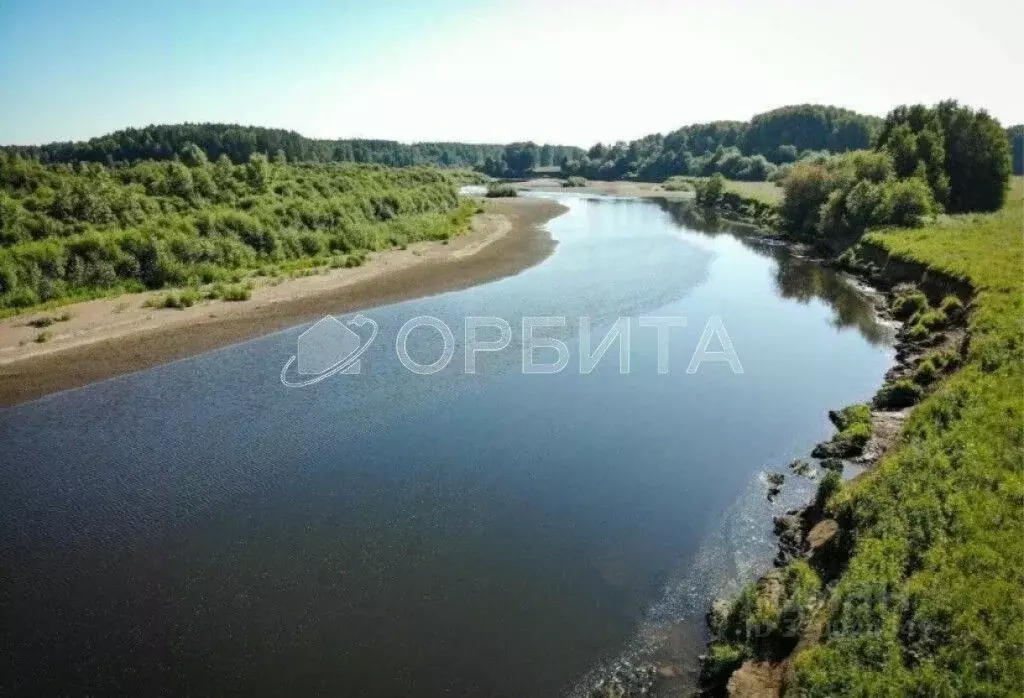 Участок в Свердловская область, Слободо-Туринский район, ... - Фото 0
