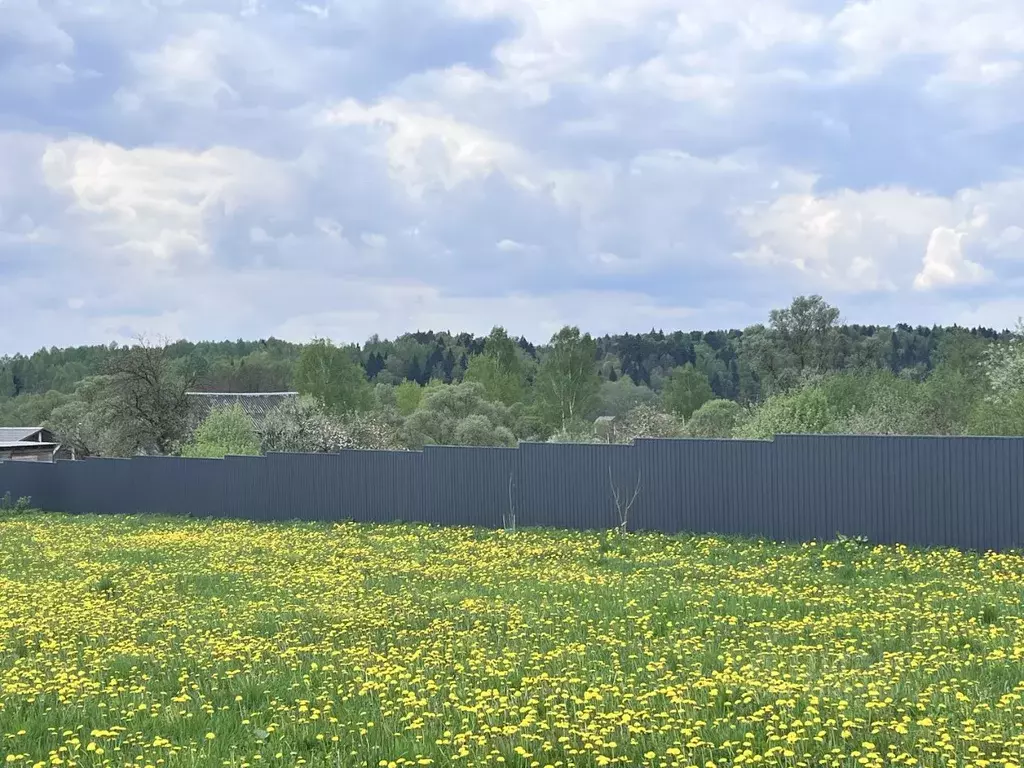 Участок в Московская область, Серпухов городской округ, д. Съяново-2  ... - Фото 1