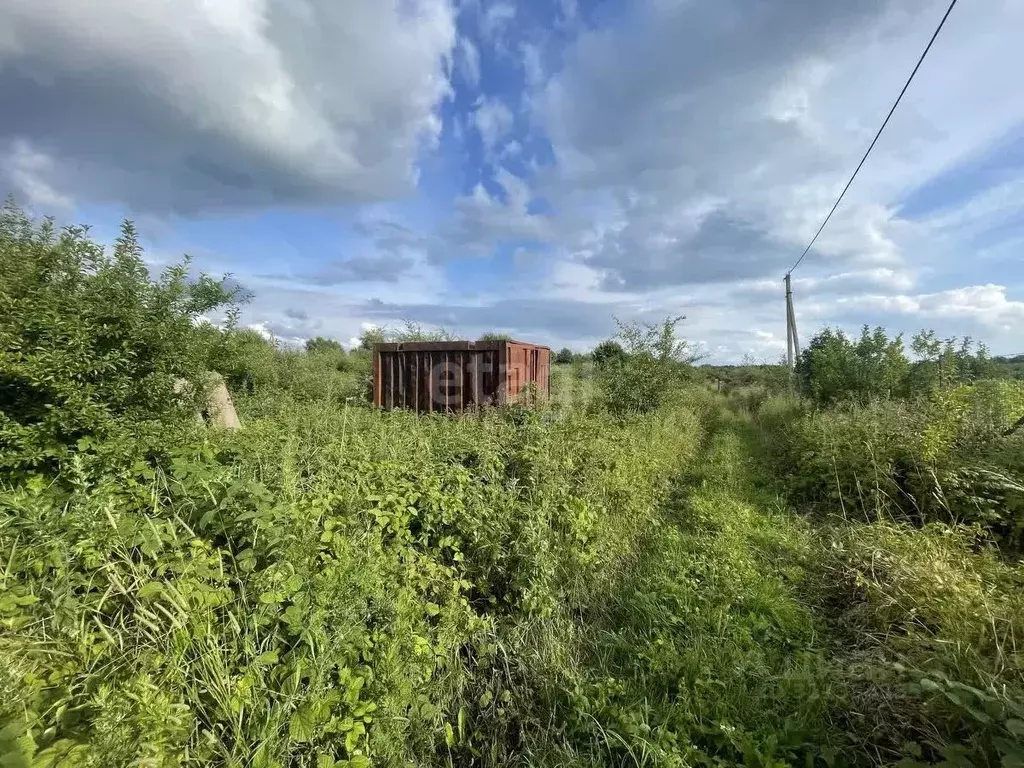 Участок в Калининградская область, Янтарный городской округ, пос. ... - Фото 1