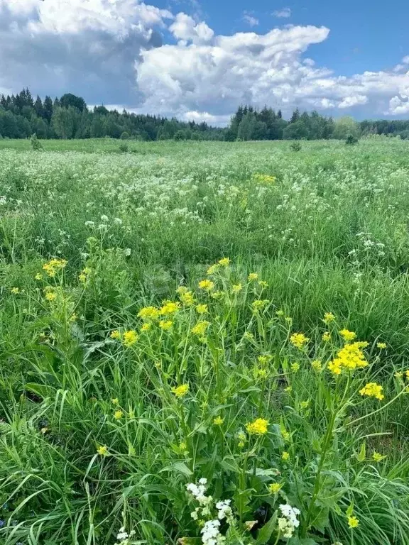 Новгородская Область Купить Участок Ижс