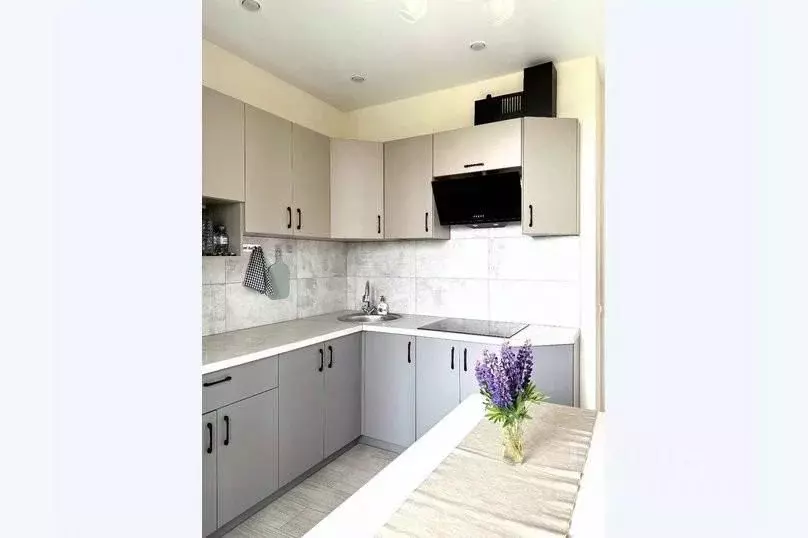 1-к кв. Московская область, Солнечногорск Красная ул., 56 (48.0 м) - Фото 2