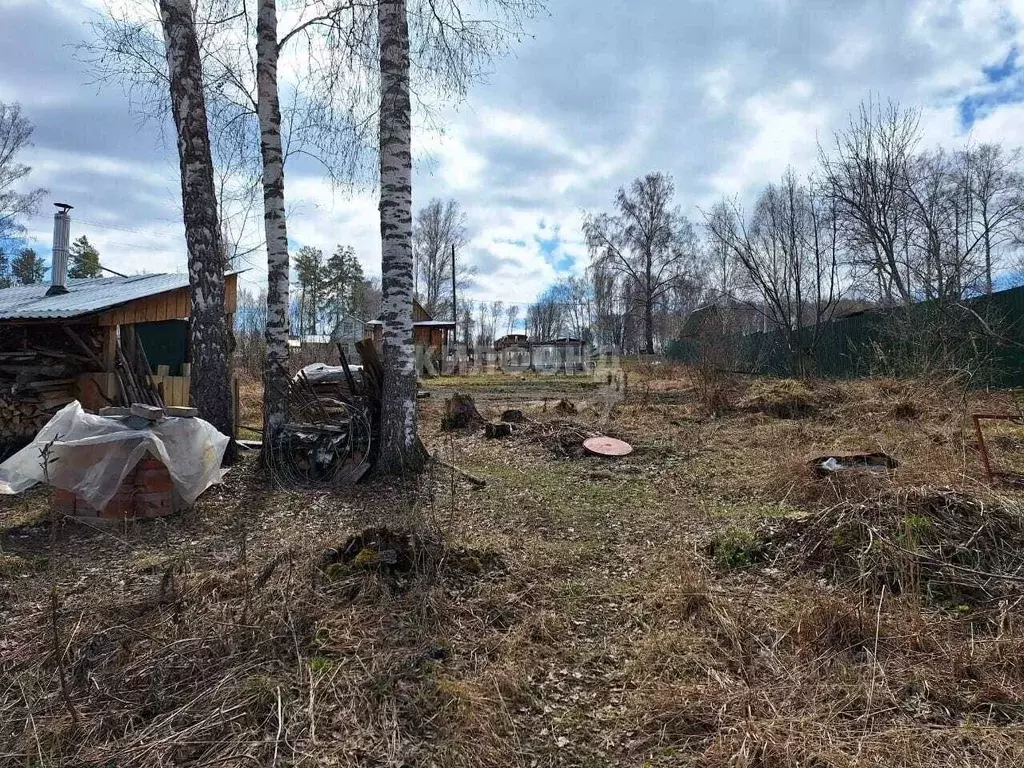 Дом в Новосибирская область, Новосибирский район, Барышевский ... - Фото 1