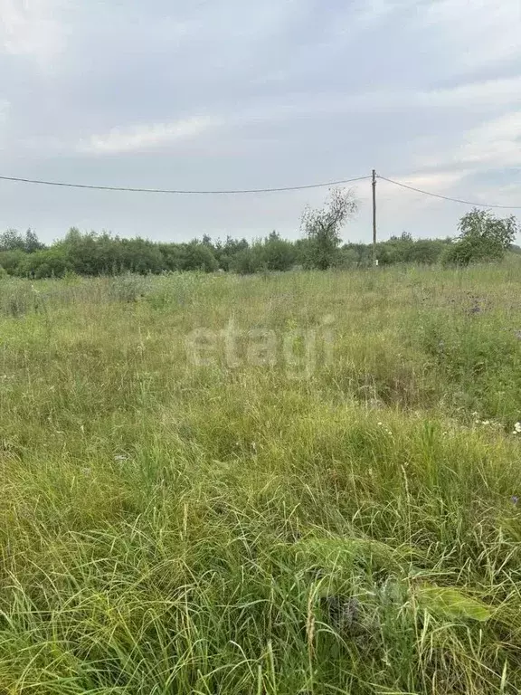 Участок в Красноярский край, Березовский район, Есаульский сельсовет, ... - Фото 0