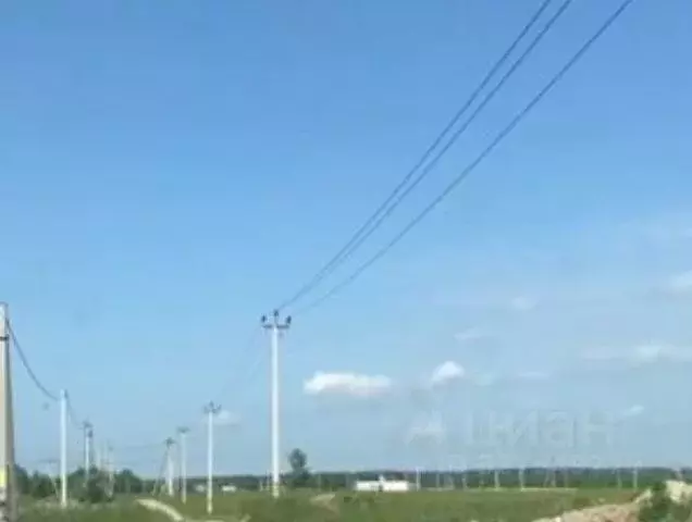 Участок в Калининградская область, Гурьевский муниципальный округ, ... - Фото 2