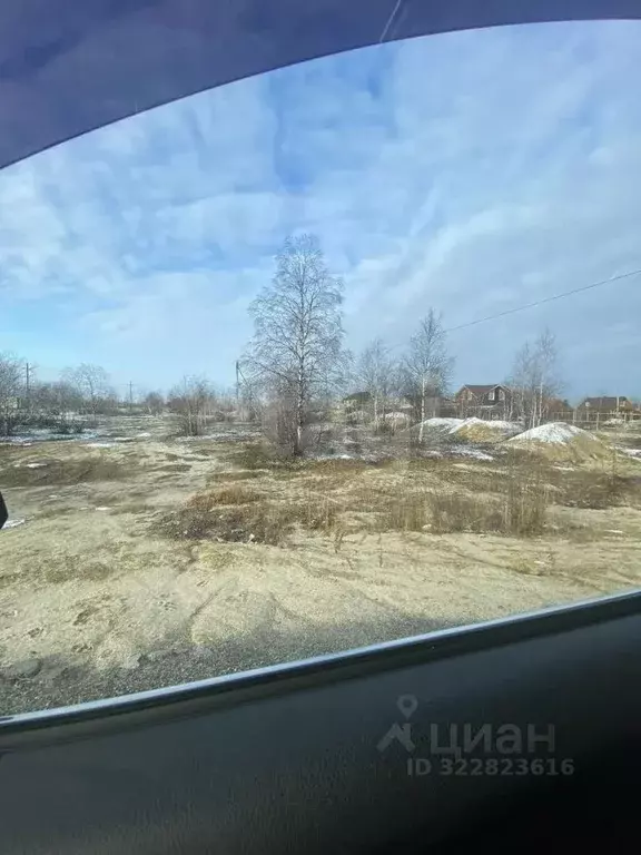 Участок в Ямало-Ненецкий АО, Новый Уренгой Фемида СНТ, ул. 1-я ... - Фото 1