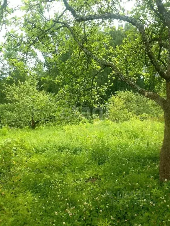 Участок в Псковская область, Печоры Просвещенец СТ,  (7.6 сот.) - Фото 2