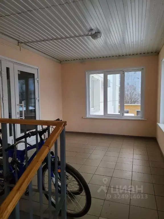 Студия Коми, Сыктывкар Станционная ул., 110 (23.8 м) - Фото 2