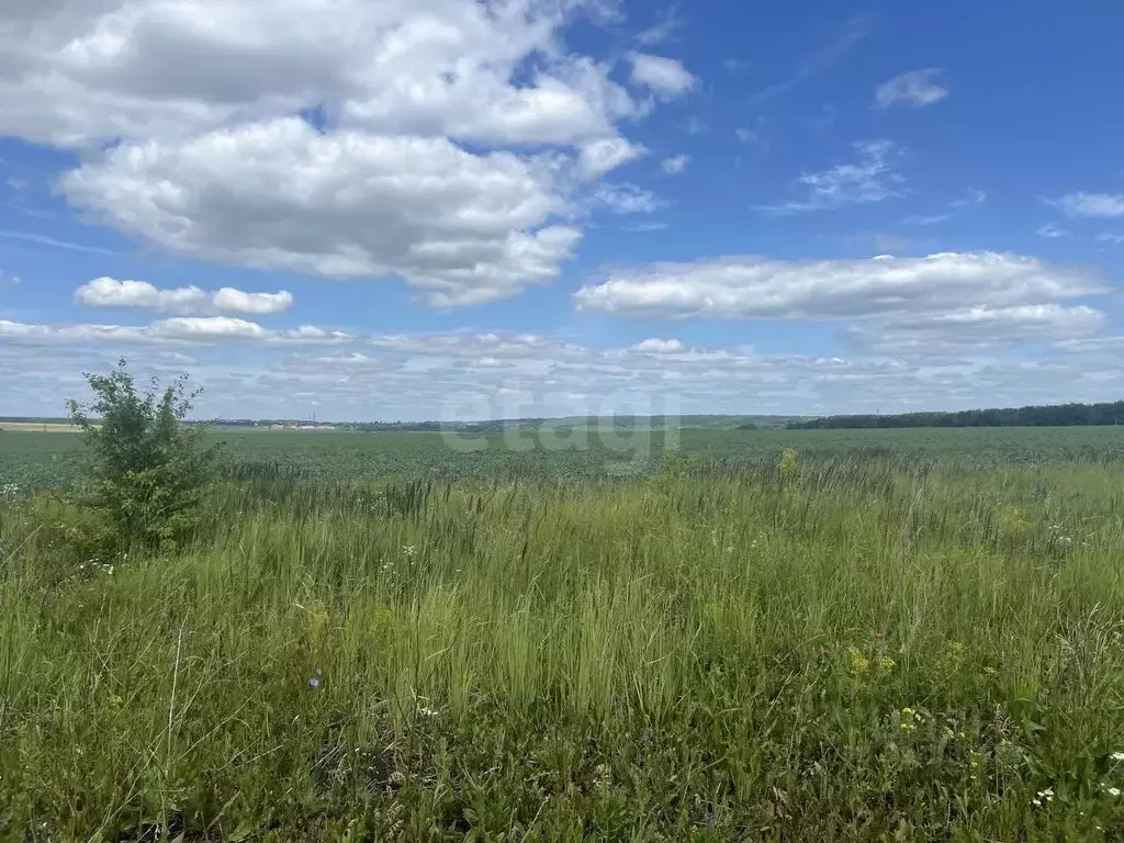 Участок в Алтайский край, Советский район, с. Советское Советская ул., ... - Фото 2