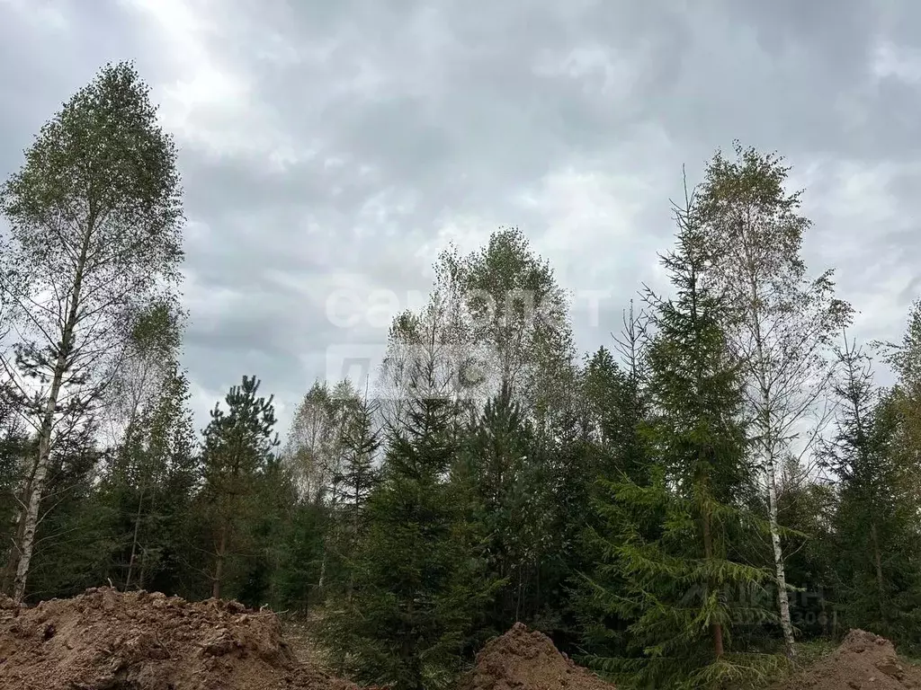 Участок в Калужская область, Совхоз Боровский с/пос, Волконское кп  ... - Фото 1