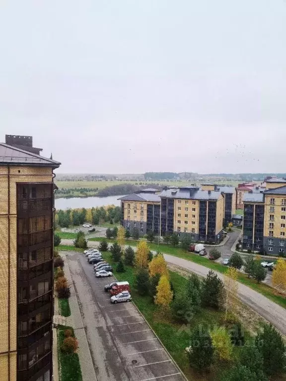 2-к кв. Тверская область, Конаковский муниципальный округ, д. Мокшино ... - Фото 2